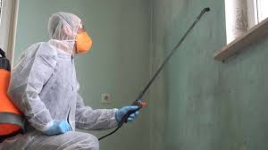 Reliable Reedley, CA Mold Removal & Remediation Solutions