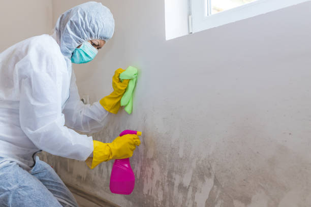 Best Crawl Space Mold Remediation  in Reedley, CA