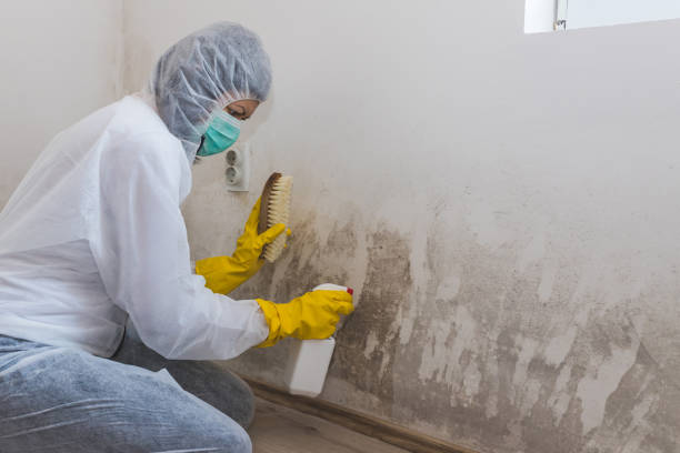 Best Biohazard Mold Removal  in Reedley, CA