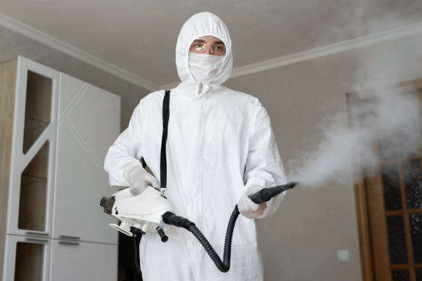 Biohazard Mold Removal in Reedley, CA